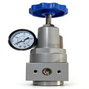 HIGH PRESSURE REGULATOR WITH GUAGE