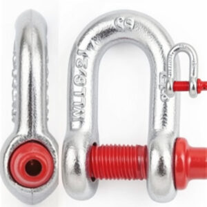 D shackle Screw pin type (SILVER )