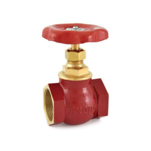 ZOLOTO Bronze Globe Valve (Screwed)