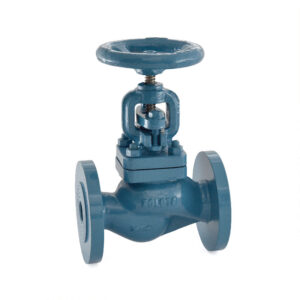 ZOLOTO Cast Iron Globe Steam Stop Valve Straight Pattern (Flanged)
