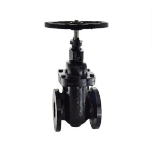 ZOLOTO Cast Iron Sluice Valve PN-1.6 (Flanged) Non-Rising