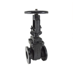 ZOLOTO Cast Iron Sluice Valve PN-1.0 (Flanged) Rising Stem