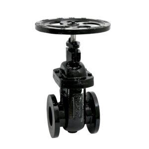 ZOLOTO Ductile Iron Sluice Valve, PN 1.6 (Flanged) ISI