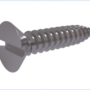 CSK Philips & CSK Self Tapping Screw SS 304