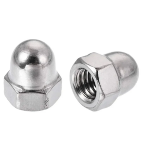 Dom Nut SS 316