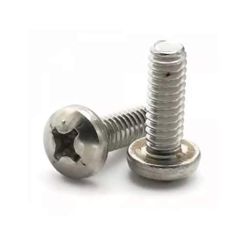 Pan Philips Screw Metric SS 304