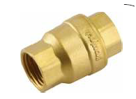 Non Return Valve Vertical Spring Type