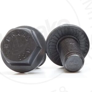 Durlok Screws M6